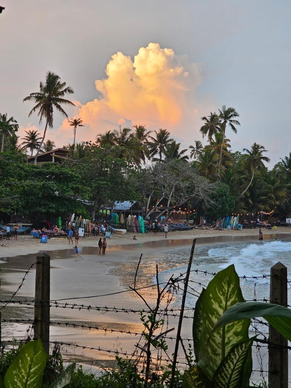 ホテル Muthu Sea View Hiriketiya ディックウェラ エクステリア 写真